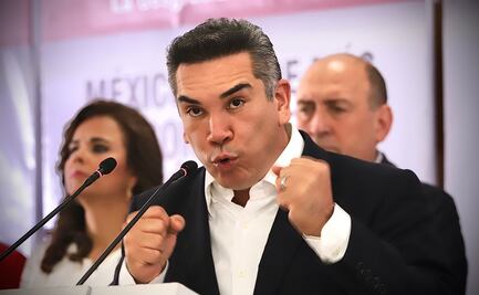 Revisión migratoria de "Alito", en cumplimiento a solicitud de autoridades de Campeche, dice INM