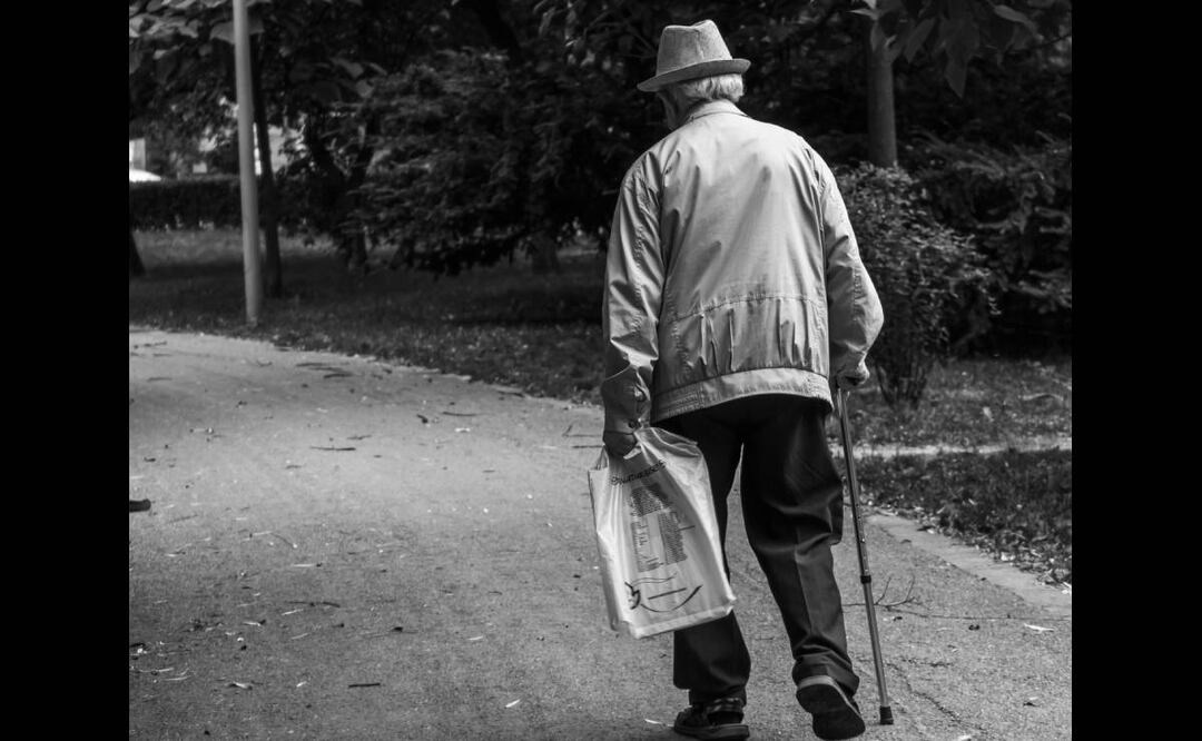 Foto: Pexels/El Universal