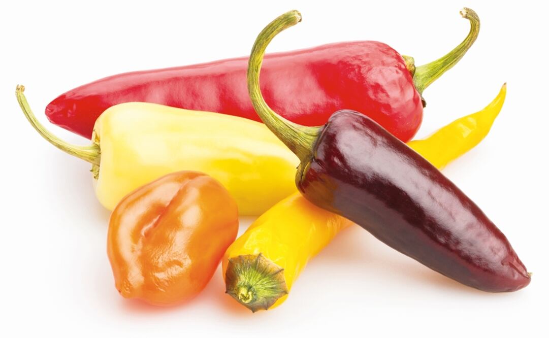 Experts produced capsaicine and other analogous substances through enzimes to further assess their properties in cellular models containing adipocites - Photo: File photo/EL UNIVERSAL