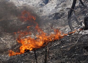 Registran 6 nuevos incendios en selva de Los Chimalapas, Oaxaca