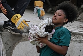 "Un rayo de esperanza"; gato sobrevive tres semanas entre escombros por terremotos en Venezuela