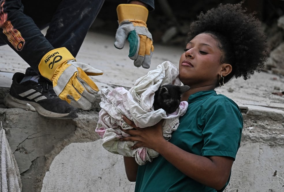 Un voluntario sostiene a un gato tras sacarlo de entre los escombros de un edificio dañado por los terremotos del 24 de junio, en Caraballeda, estado de La Guaira. Foto: AFP