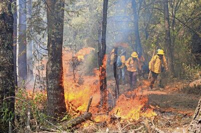 Fuego acaba con 817 has de áreas naturales