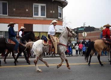 Rechazo a Trump marca el 5 de Mayo en EU