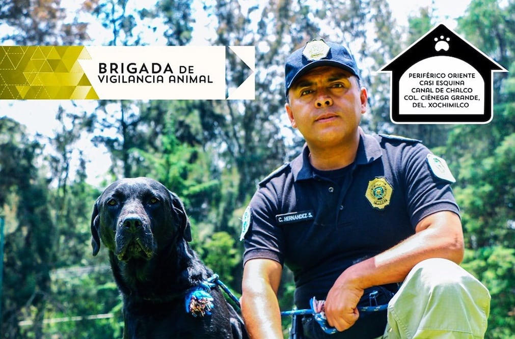 Foto: @hiramalmeidae