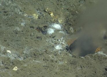 Hallan grieta en lecho marino que podría provocar terremoto magnitud 9