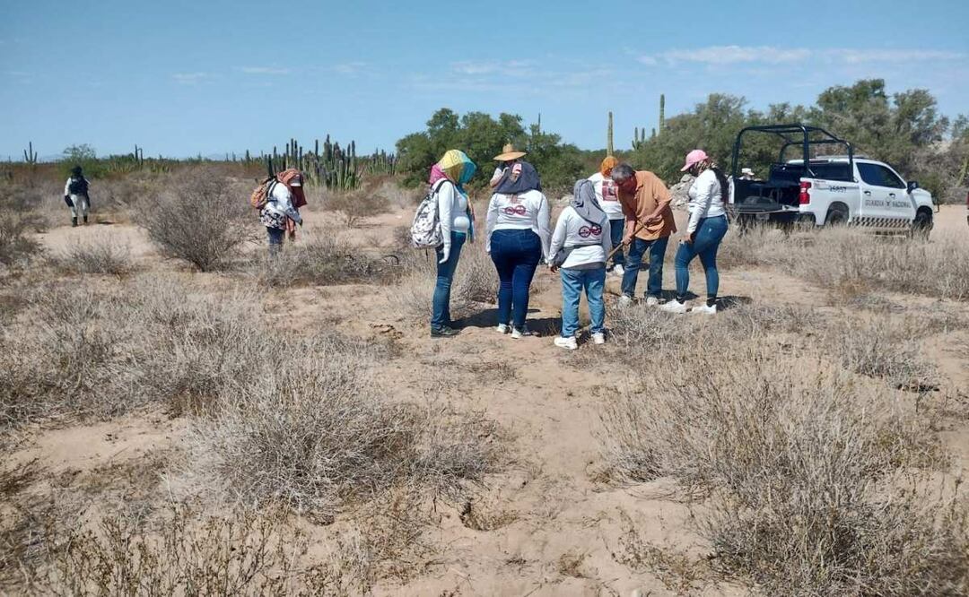 Los restos localizados fueron trasladados a las instalaciones del Servicio Médico Forense (Semefo) para realizar los estudios científicos que permitan determinar las identidades. Foto: Madres Buscadoras de Sonora