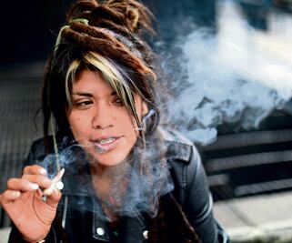 Analizará Presidente efectos de uso lúdico de yerba