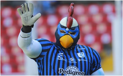 Gallos Blancos de Querétaro serían salvados por un equipo de futbol americano