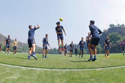 Por un milagro Puma en Santa Úrsula