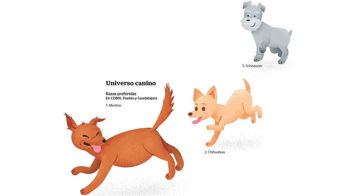 Ilustración: IVÁN VARGAS