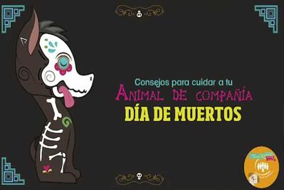 Consejos para pedir calaverita con tu perro