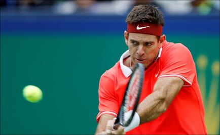 Juan Martín del Potro no estará en el Abierto de Australia