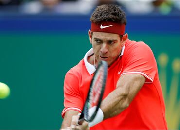 Juan Martín del Potro no estará en el Abierto de Australia