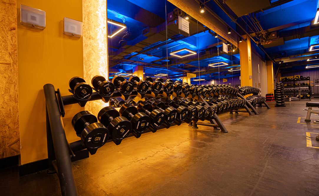 La empresa cuenta con 340 gimnasios en México y más de mil 500 en toda Latinoamérica. Foto: Cortesía
