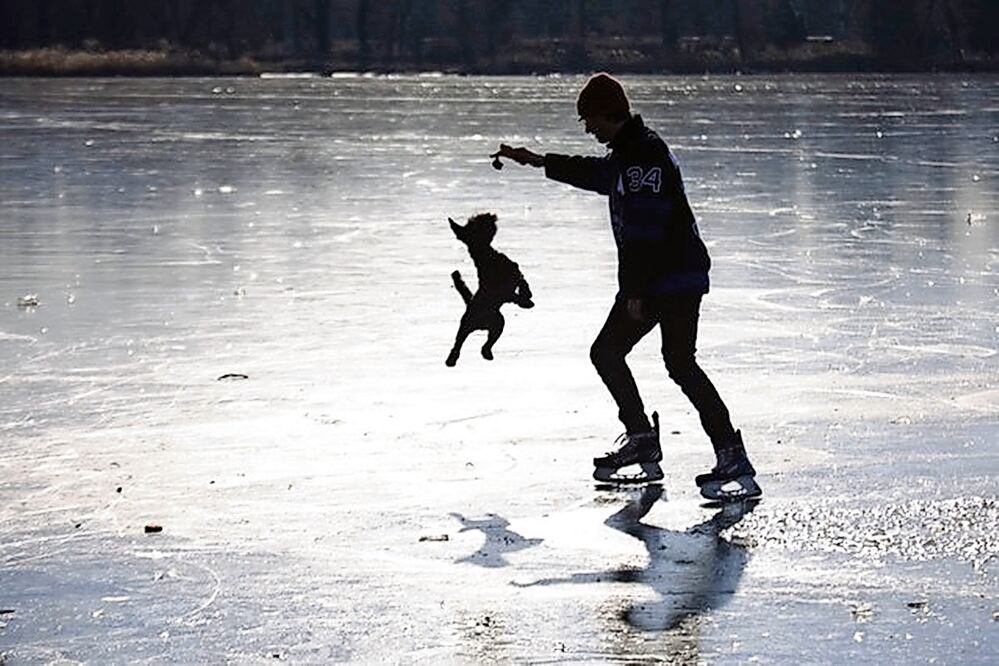 Un hombre juega con su perro en el congelado río Viejo Danubio en Viena, Austria. El país tiene una de las normativas más estrictas en la materia; fue adoptada en 2002 y modificada en 2017. Foto: de Alex Halada. AFP
