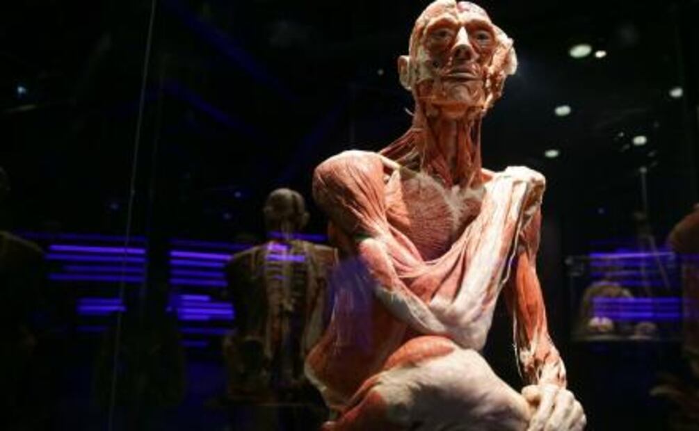 Museo en Londres invita a enamorarse del cuerpo