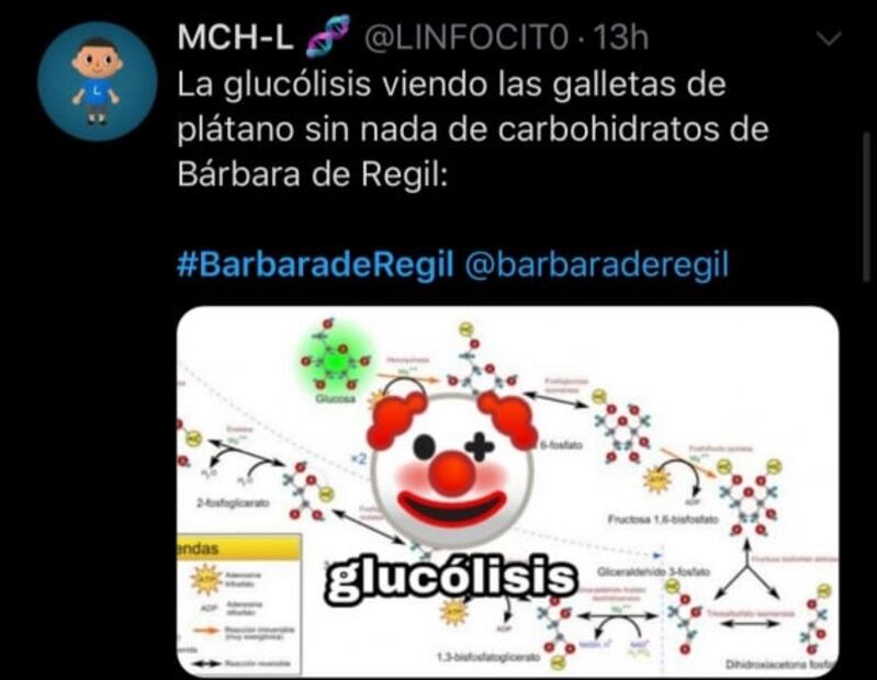 Memes se burlan de receta de Bárbara de Regil