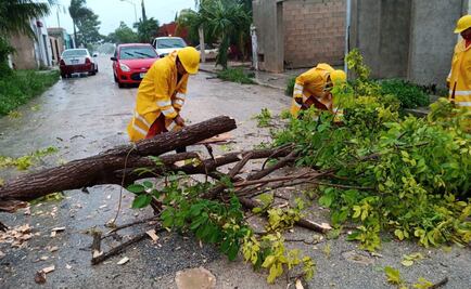 Frente frío 23 deja afectaciones en municipios de Yucatán
