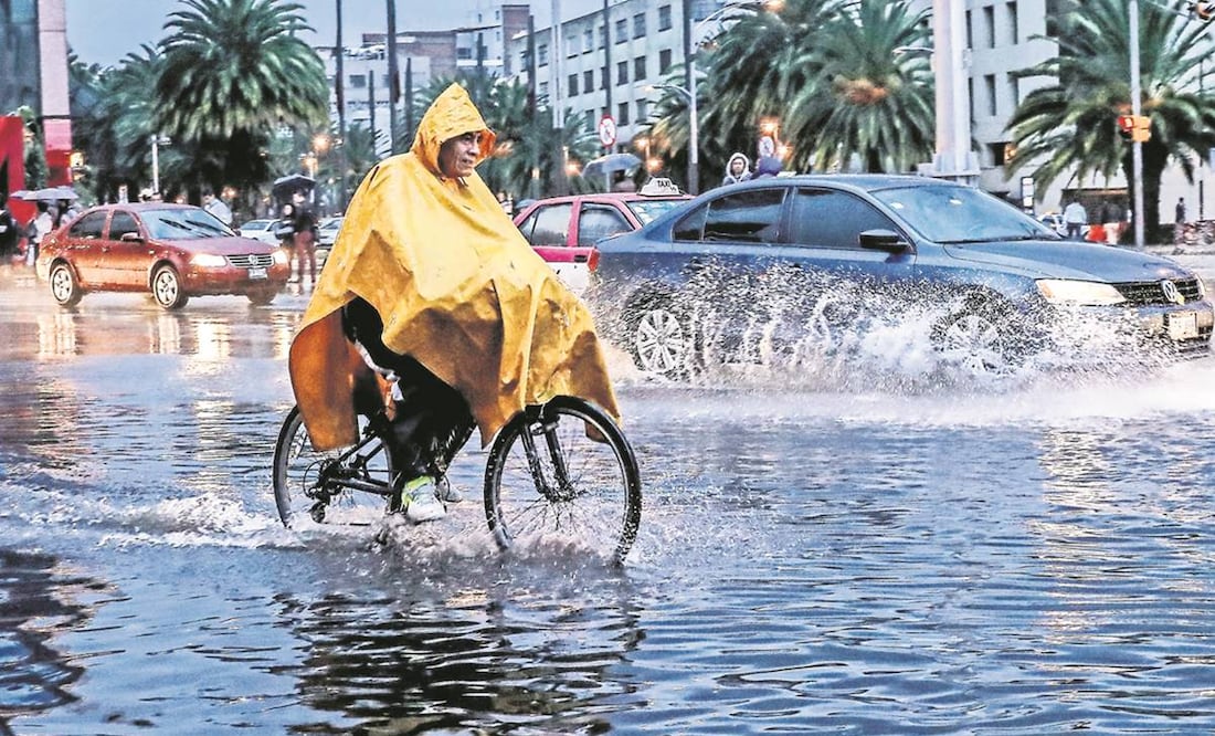 Foto: Archivo / EL UNIVERSAL