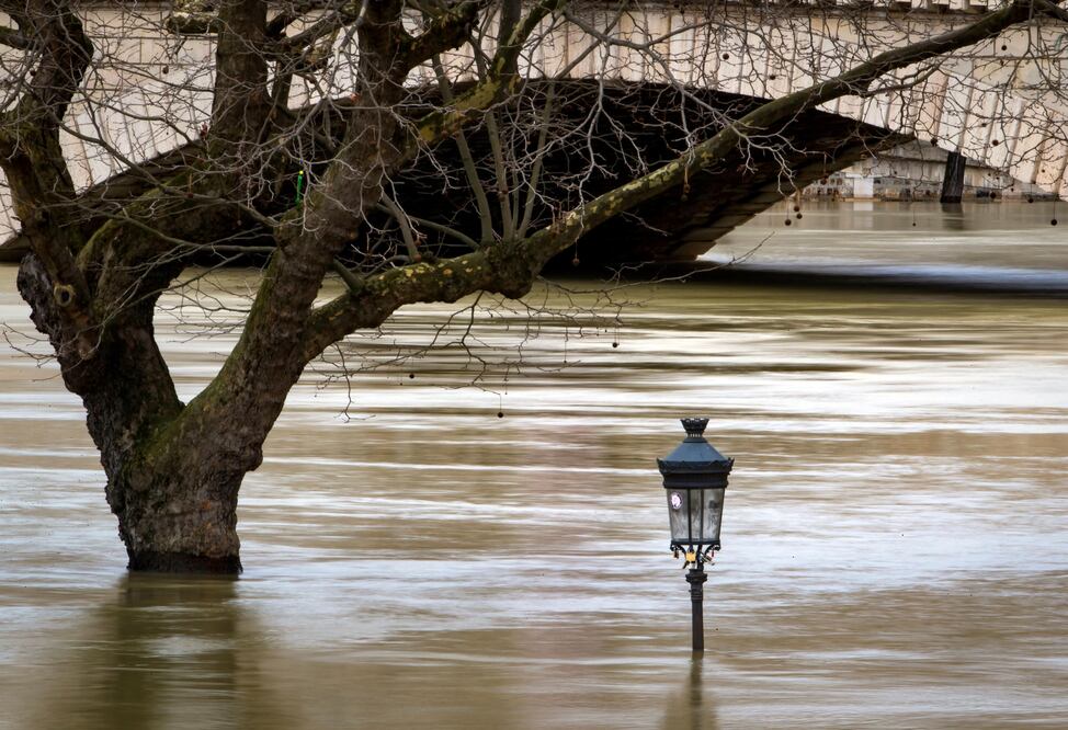 Vista de una farola y un árbol a orillas del río Sena en París, Francia, hoy, 29 de enero de 2018 (Foto: EFE)