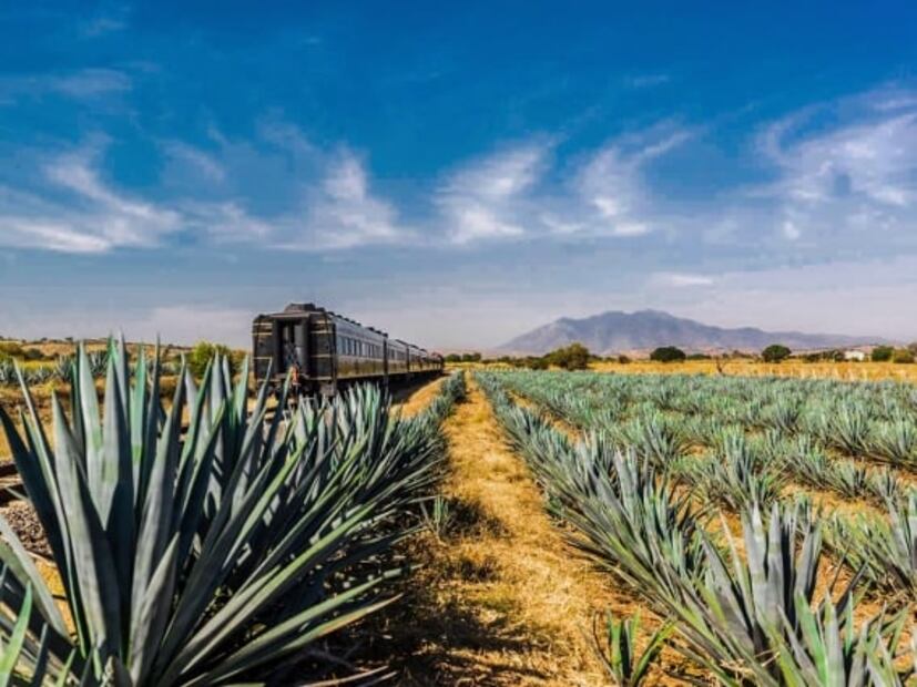 Guía de viaje al Pueblo Mágico de Tequila