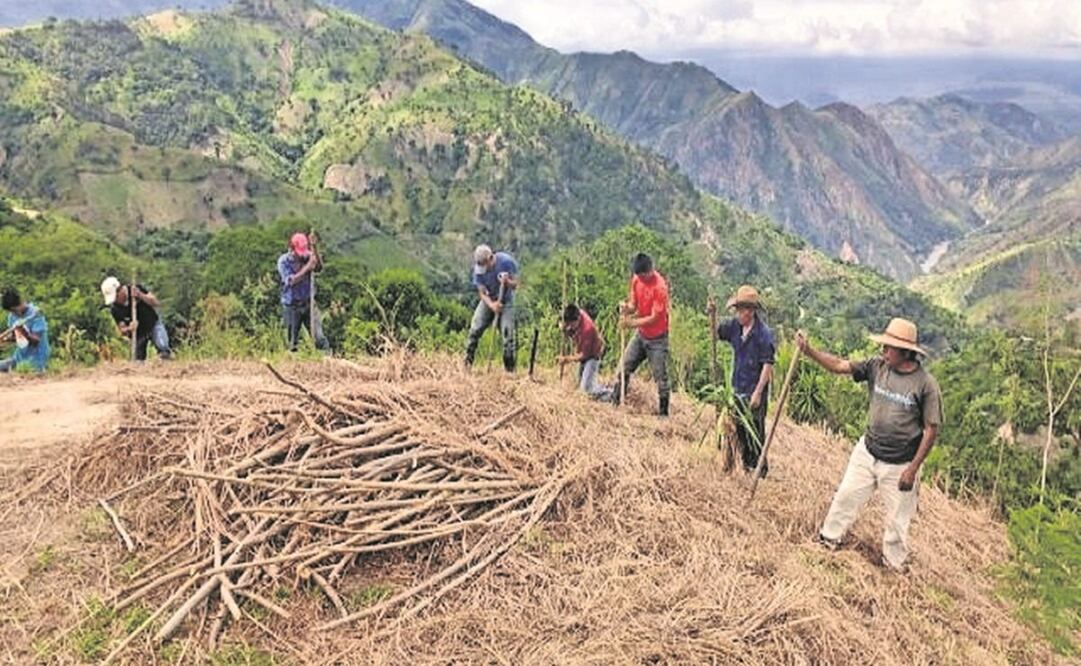 Campesinos del norte de Centroamérica sufren por décadas de sequía y su fuerte impacto en la producción agrícola, lo que incentiva la migración irregular a México y EU. Foto: CORTESÍA FAO