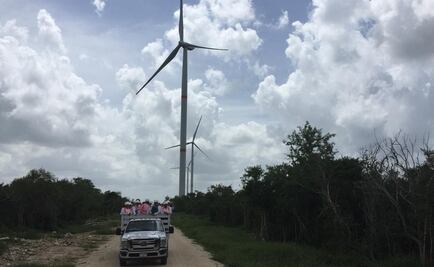 Reforma eléctrica afectará 5 proyectos de energías limpias en Yucatán: empresarios