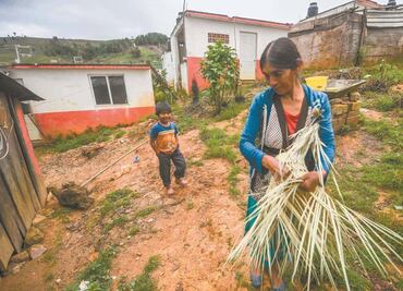 Alertan por concentración de riqueza y violencia en México