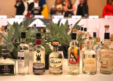 Raicilla obtains designation of origin