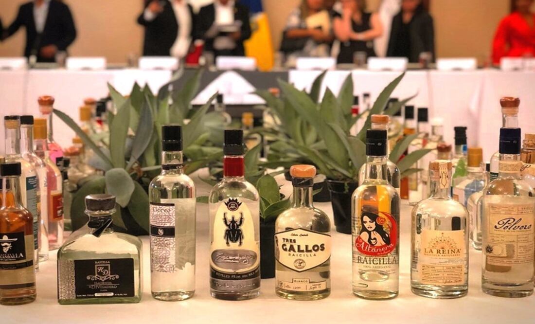 Different kinds of raicilla, a distillate of agave – Photo: EFE/IMPI