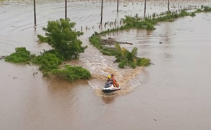 Huracán "Lorena" dañó mil 600 hectáreas agrícolas en Colima y Jalisco