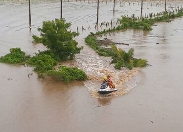 Huracán "Lorena" dañó mil 600 hectáreas agrícolas en Colima y Jalisco
