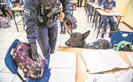 A partir del lunes, Operativo Mochila en escuelas de la región Laguna 