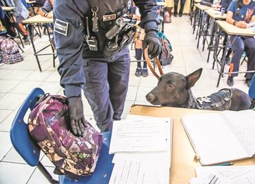 A partir del lunes, Operativo Mochila en escuelas de la región Laguna