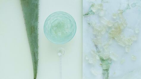 Conoce las propiedades y beneficios del aloe vera para la salud
