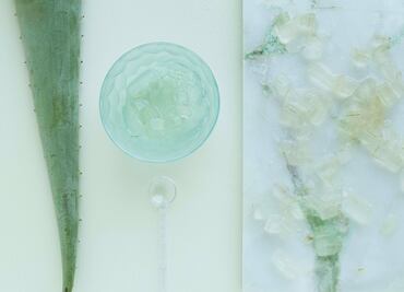 Conoce las propiedades y beneficios del aloe vera para la salud