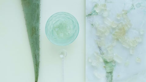 Conoce las propiedades y beneficios del aloe vera para la salud