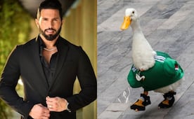 Poncho de Nigris ofrece jugosa oferta por el Pato Merlín; busca convertirlo en la mascota de Ring Royale