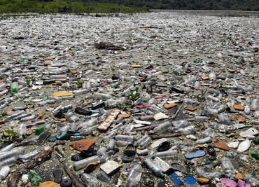 Urge solucionar crisis ambientales: Sarukhán