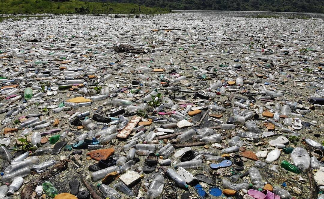 LA PRENSA GRÁFICA, El Salvador
Crisis ambiental
Al menos unas 5 mil toneladas de desechos sólidos, en su mayoría plásticos, se han acumulado en el embalse del Cerrón Grande, en Potonico, Chalatenango, tras ser arrastrados por los ríos en período de lluvias. El alcalde de la zona, Jacinto Eleuterio Tobar, denunció la situación en redes sociales el 1 de septiembre de 2022.
El embalse del Cerrón Grande, un humedal de importancia nacional e internacional, fue declarado como sitio Ramsar -que reconoce su importancia a nivel internacional- el 22 de noviembre de 2005, por la Organización de las Naciones Unidas para la Cultura, la Ciencia y la Educación (Unesco). Sin embargo, actualmente el lugar está atravesando una crisis ambiental a causa de la acumulación de todo tipo de desechos.
Foto: Javier Aparicio. La Prensa Gráfica/GDA