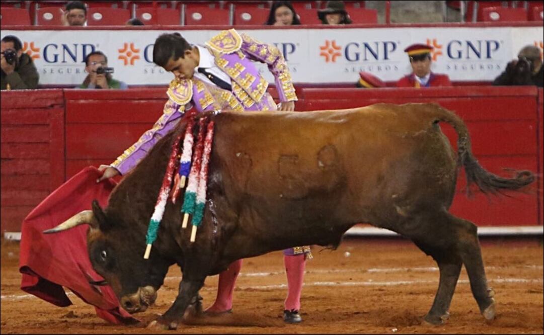 TWITTER. @TauroPlaza