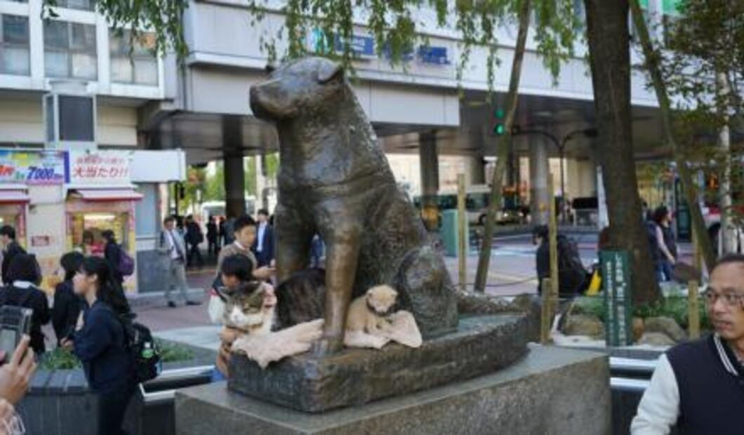 Tokio es el viaje que merece una reverencia