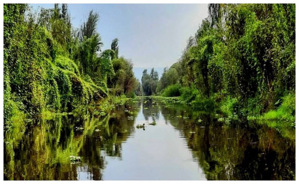 Imagen: Facebook Trajineras Xochimilco