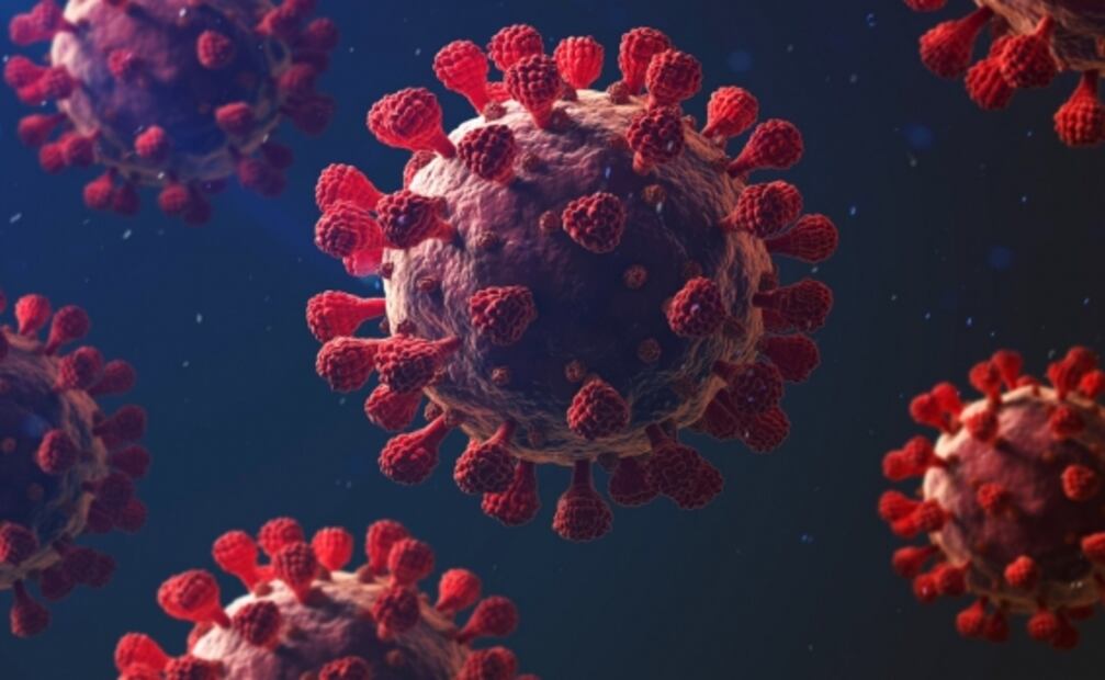 Personas con síndrome de Down son genéticamente susceptibles al Covid-19