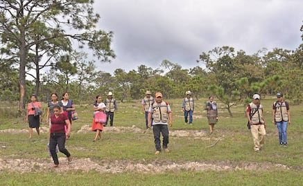 Juntos "Camaleones" y "Guardianas" protegen bosques