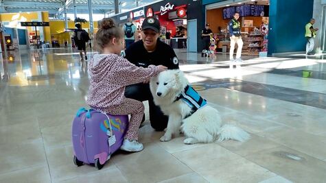 Brindan en el AIFA terapia perruna