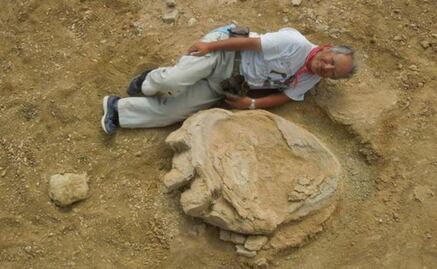 Hallan una de las mayores huellas de dinosaurio del mundo