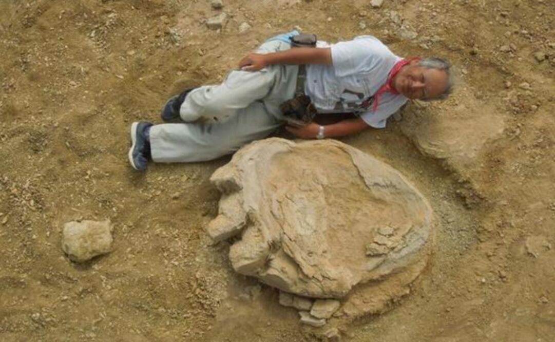 La pisada, en la que se puede advertir la forma de la planta y las garras, se encontró en una capa geológica de entre 70 y 90 millones de años de antigüedad. (FOTO: Okayama University)