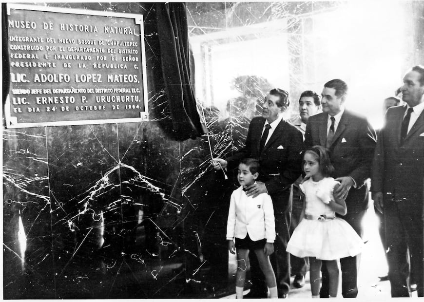 Durante su gobierno también se construyeron varios museos, como el de Historia Natural, que también inauguró junto al entonces presidente Adolfo López Mateos. Foto: Archivo / EL UNIVERSAL